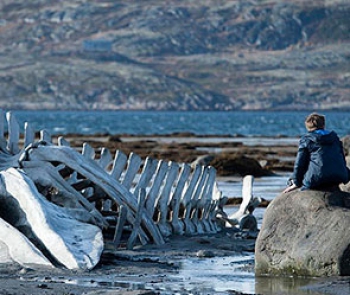 Кадр из фильма "Левиафан". Фото: vesti.ru